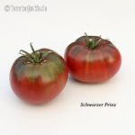 Tomatensorte Schwarzer Prinz
