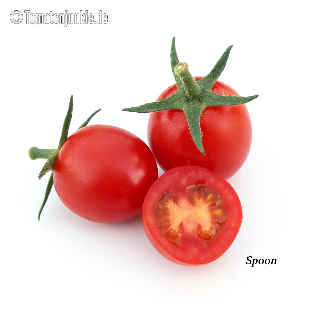 Tomatensorte Spoon