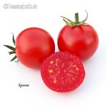 Tomatensorte Spoon