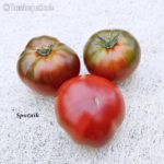 Tomatensorte Sputnik