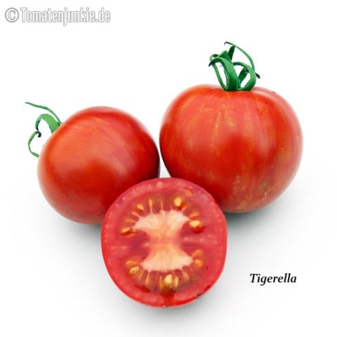 Tomatensorte Tigerella