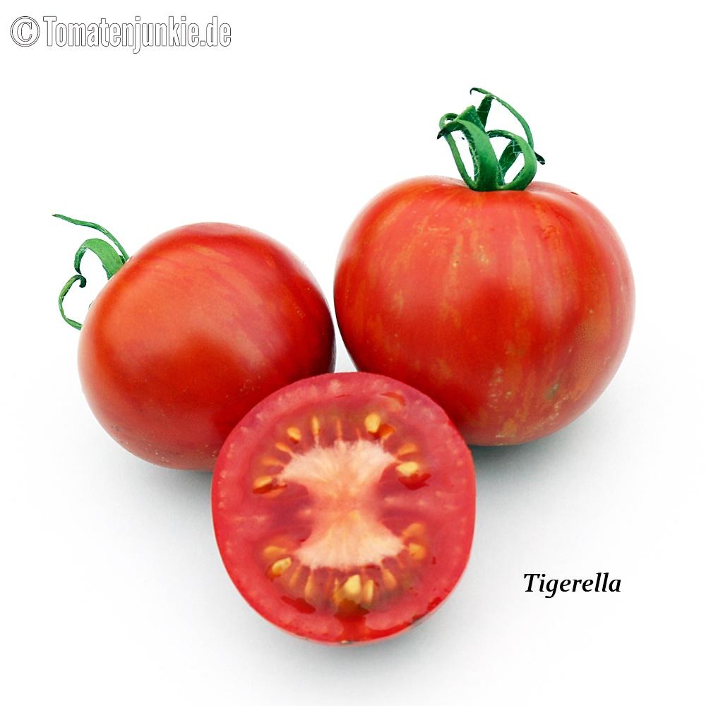 Tomatensorte Tigerella