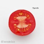 Tomatensorte Tigerella