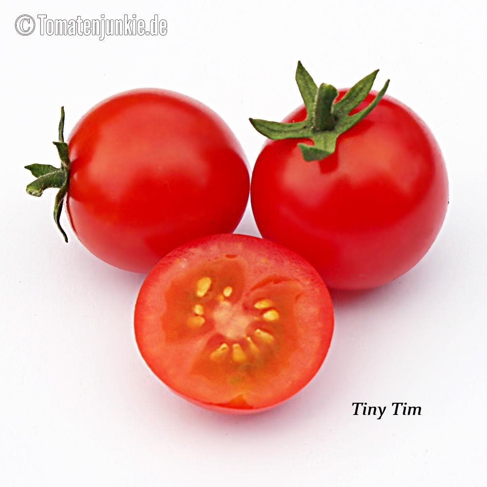 Tomatensorte Tiny Tim