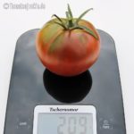 Tomatensorte Tschernomor