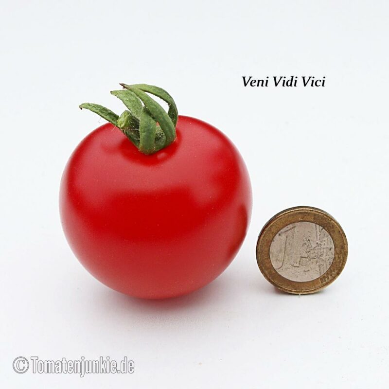 Tomatensorte Veni Vidi Vici