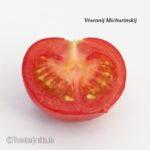 Tomatensorte Vesennij Michurinskij
