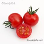 Tomatensorte Vesennij Michurinskij