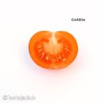 Tomatensorte Goldita