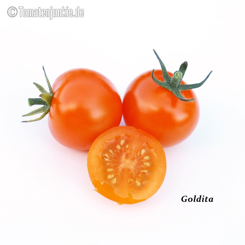 Tomatensorte Goldita