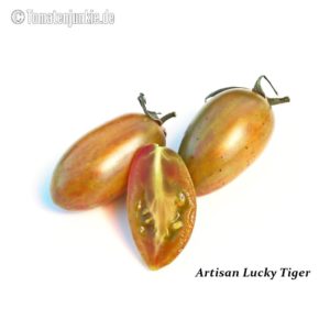 Tomatensorte Artisan Lucky Tiger