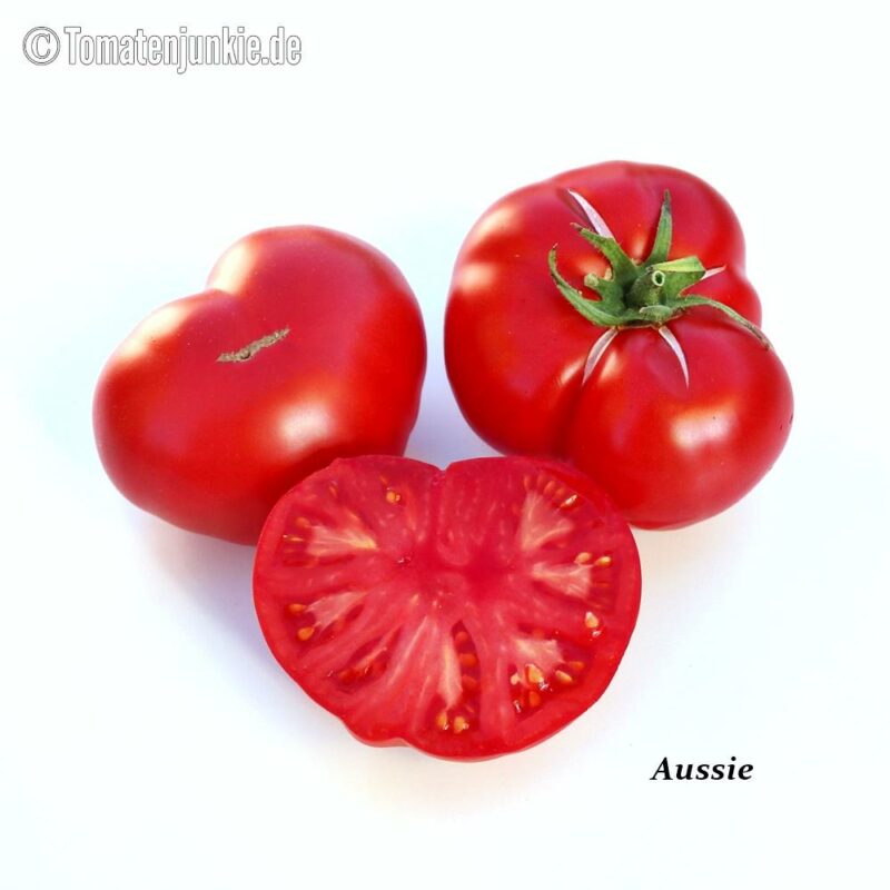 Tomatensorte Aussie