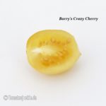 Tomatensorte Barry's Crazy Cherry