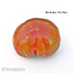 Tomatensorte Berkeley Tie-Dye