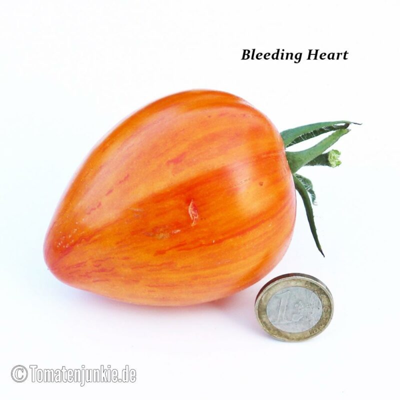 Tomatensorte Bleeding Heart