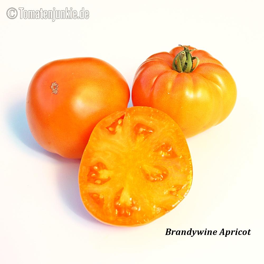 Tomatensorte Brandywine Apricot
