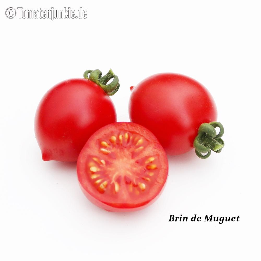 Tomatensorte Brin de Muguet