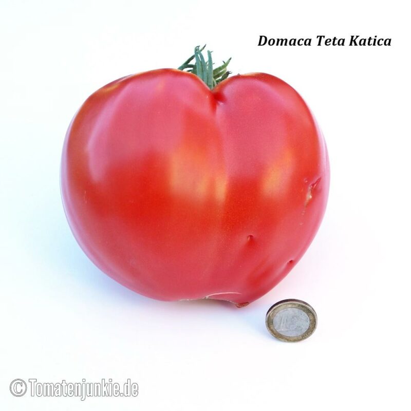 Domaca Teta Katica