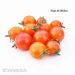 Tomatensorte Gajo de Melon