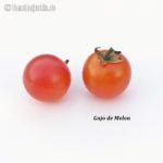 Tomatensorte Gajo de Melon