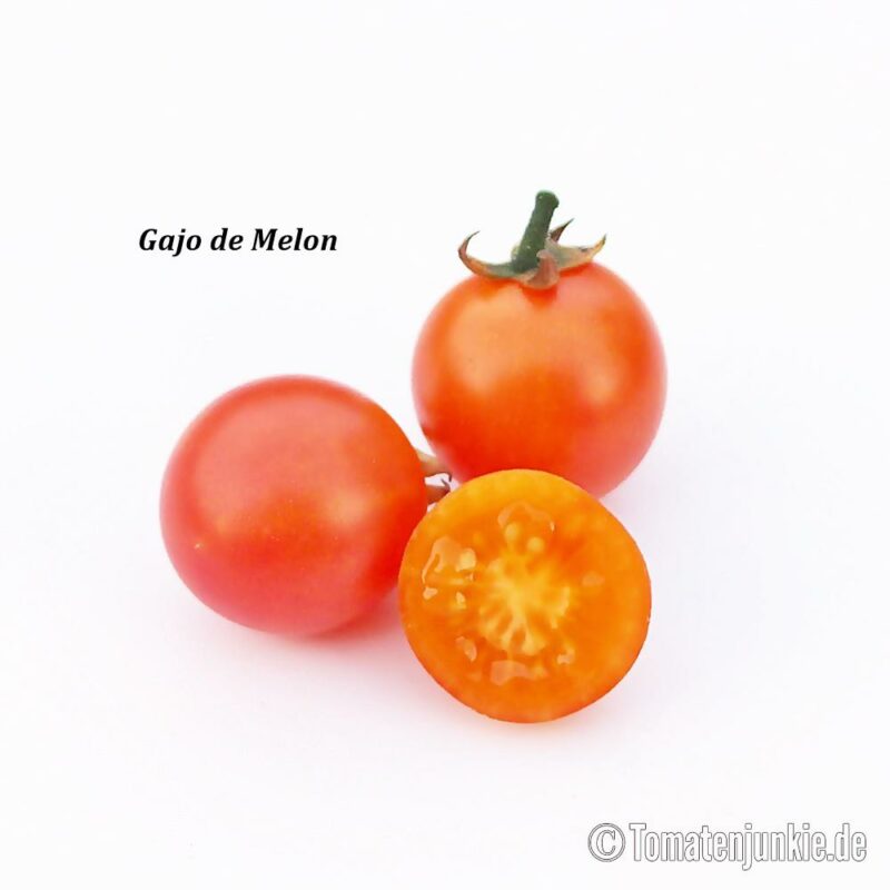 Tomatensorte Gajo de Melon