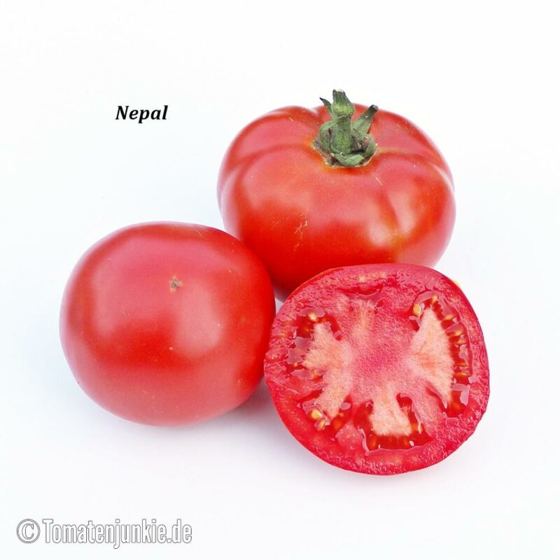 Tomatensorte Nepal