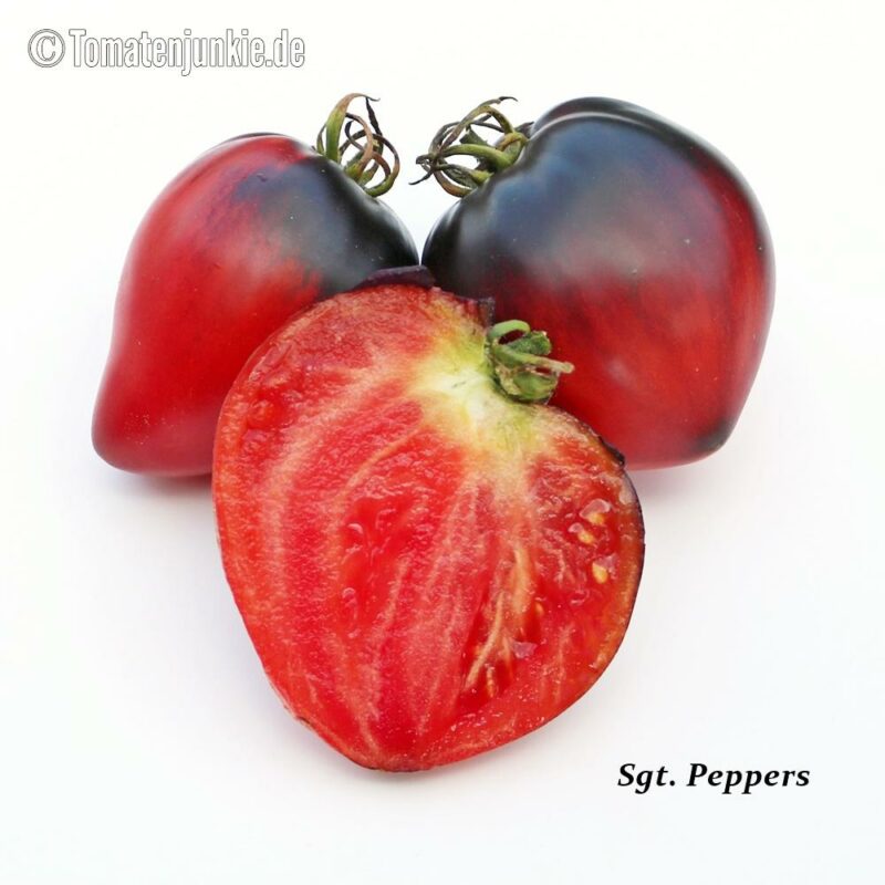 Tomatensorte Sgt. Peppers