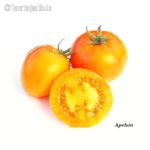 Tomatensorte Apelsin