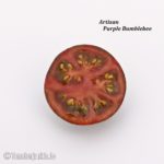 Tomatensorte Artisan Purple Bumblebee