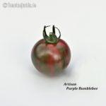 Tomatensorte Artisan Purple Bumblebee