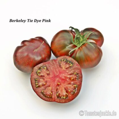 Tomatensorte Berkeley Tie-Dye Pink