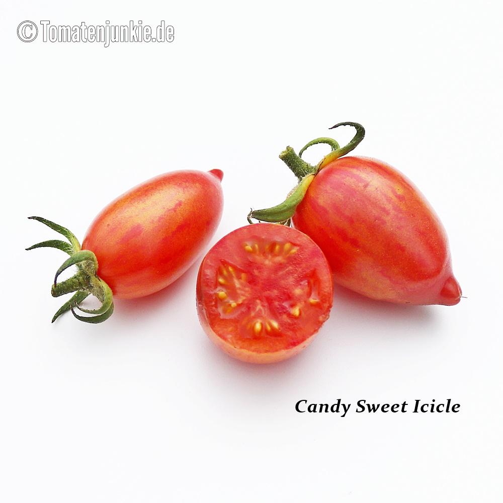 Tomatensorte Candy Sweet Icicle