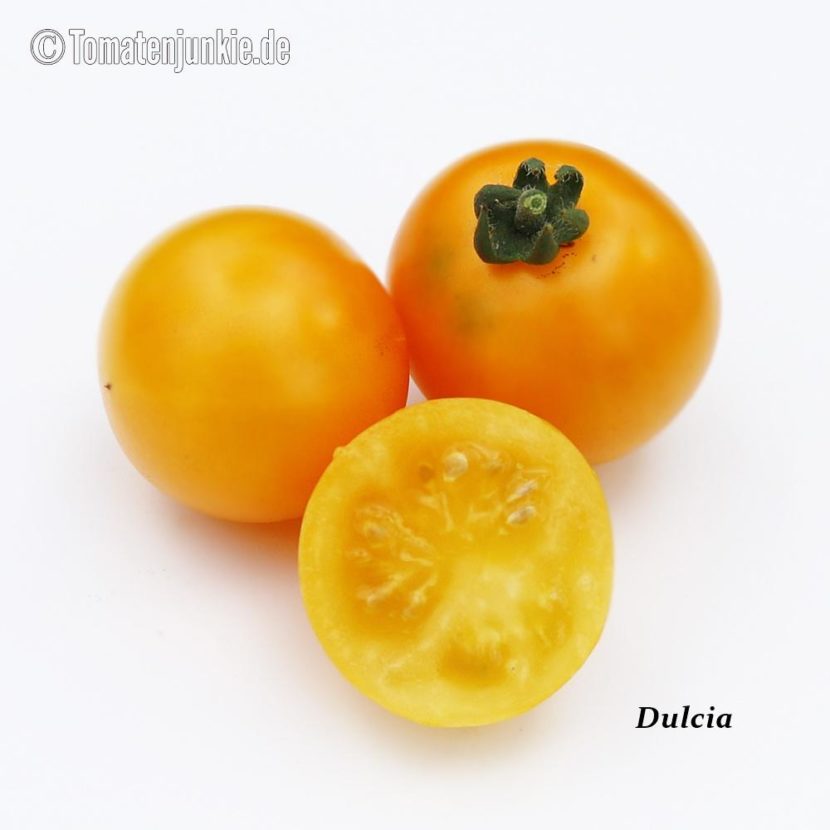 Tomatensorte Dulcia