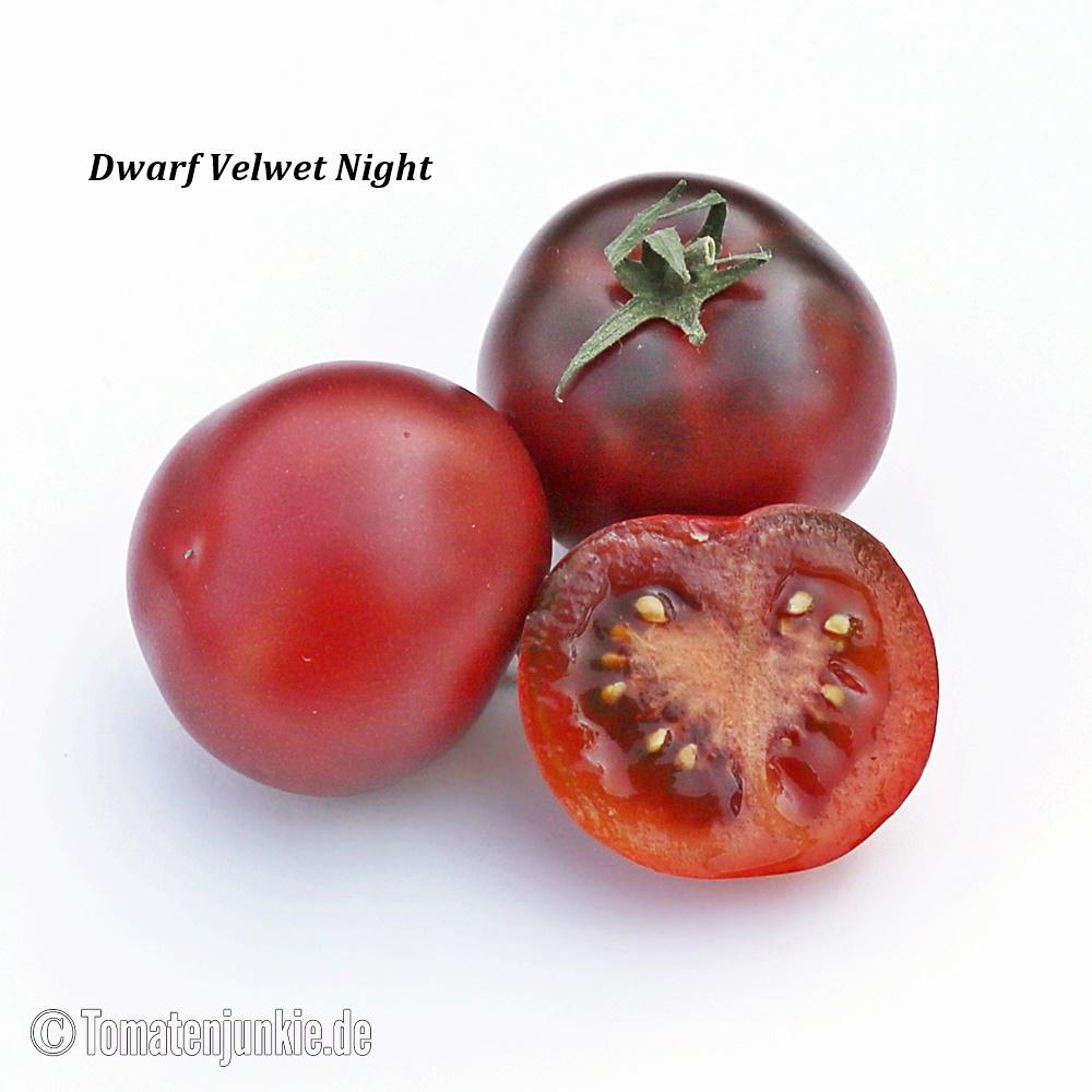Tomatensorte Dwarf Velvet Night