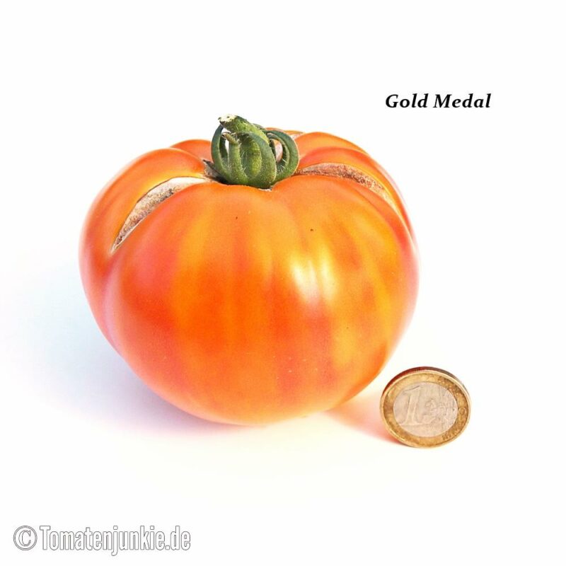 Tomatensorte Gold Medal