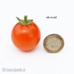 Tomatensorte Ida Gold