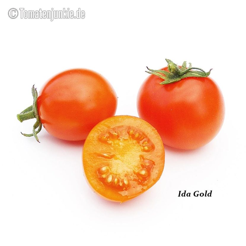 Tomatensorte Ida Gold
