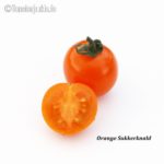 Tomatensorte Orange Sukkerknald