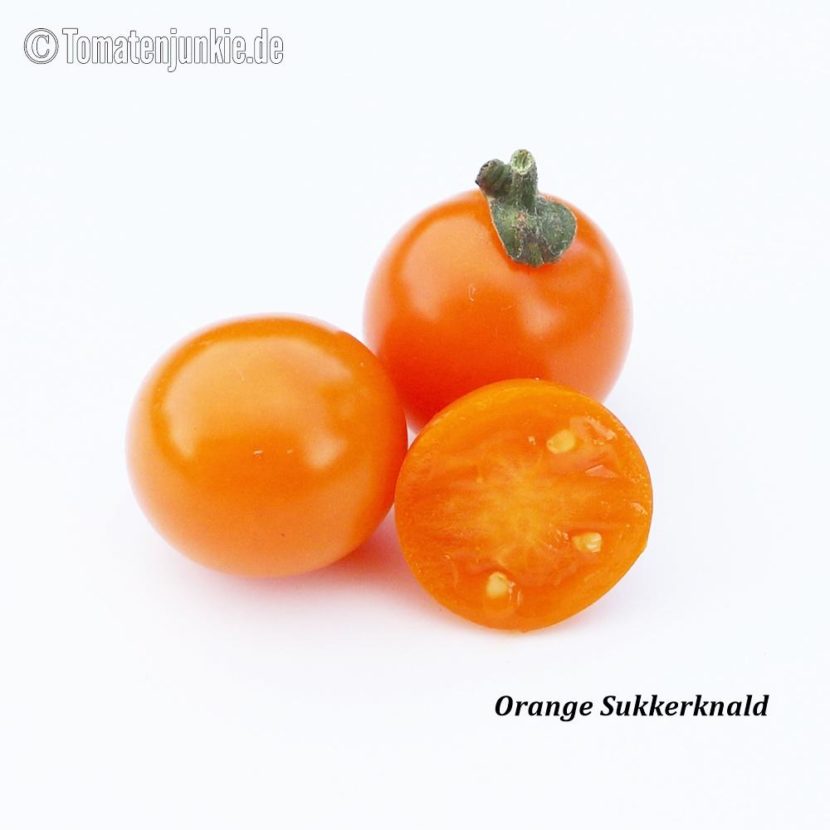 Tomatensorte Orange Sukkerknald
