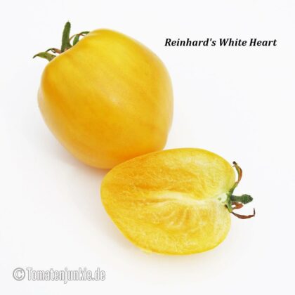 Tomatensorte Reinhards White Heart