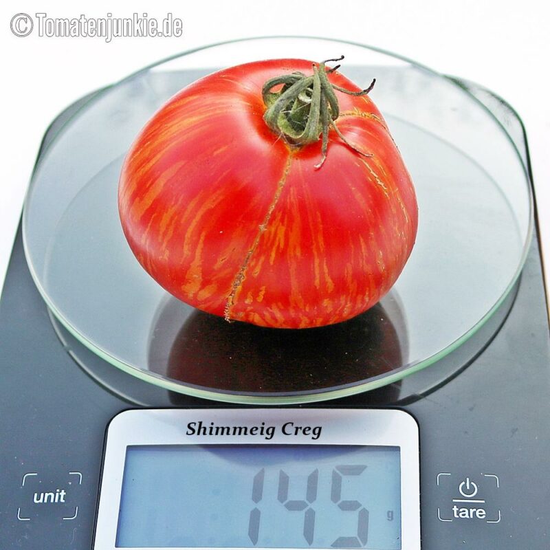 Tomatensorte Shimmeig Creg