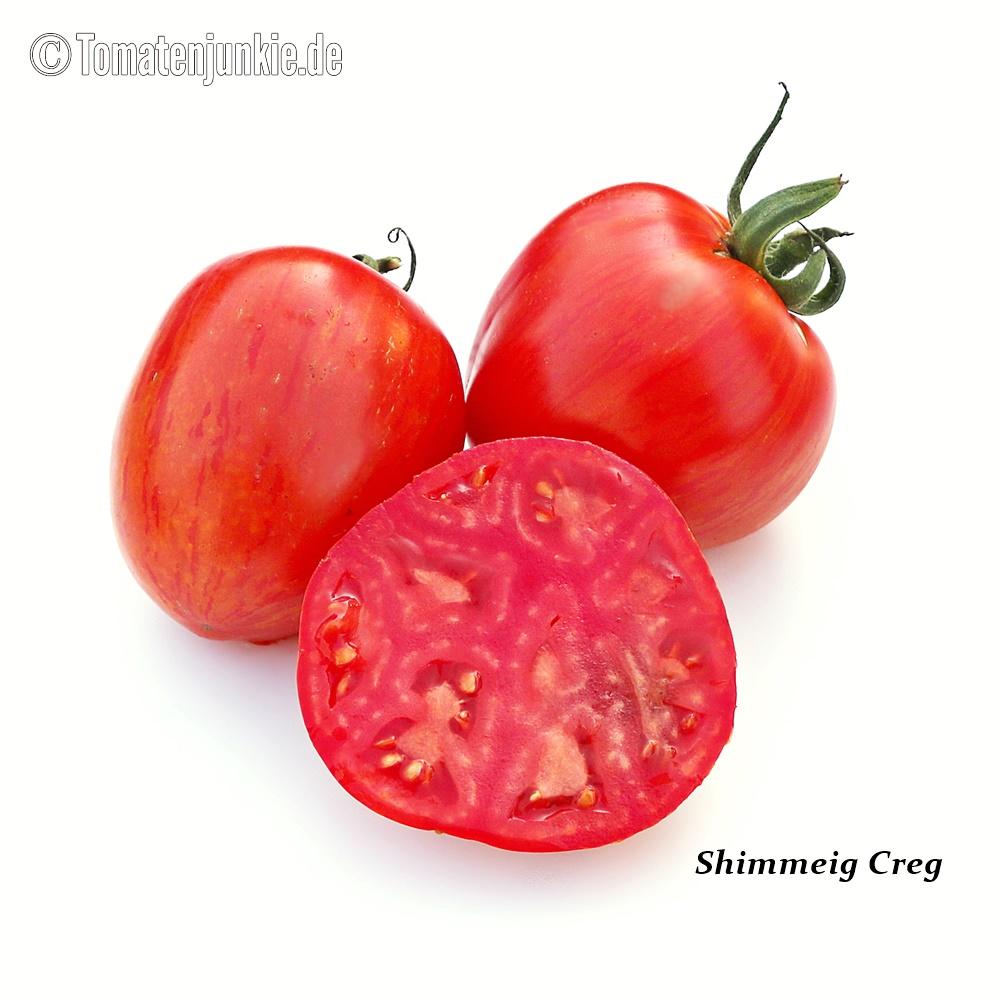 Tomatensorte Shimmeig Creg