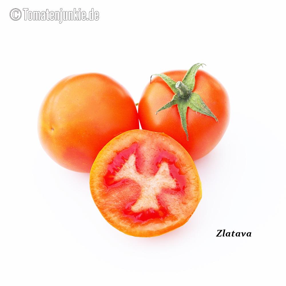Tomatensorte Zlatava