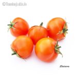 Tomatensorte Zlatava