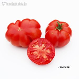 Tomatensorte Ficarazzi