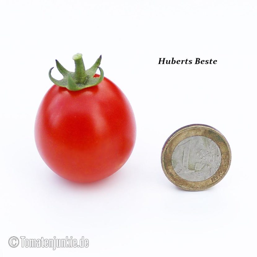 Tomatensorte Huberts Beste
