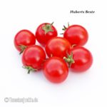 Tomatensorte Huberts Beste