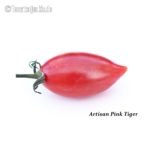 Tomatensorte Artisan Pink Tiger