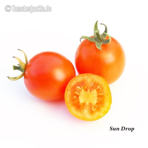Tomatensorte Sun Drop