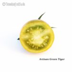 Tomatensorte Artisan Green Tiger